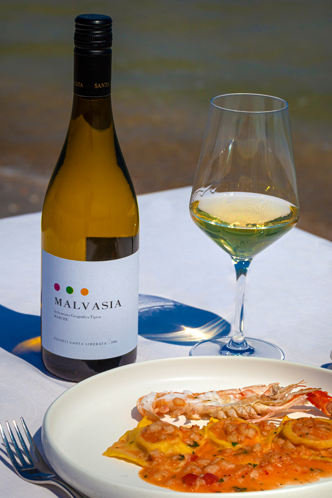 Malvasia